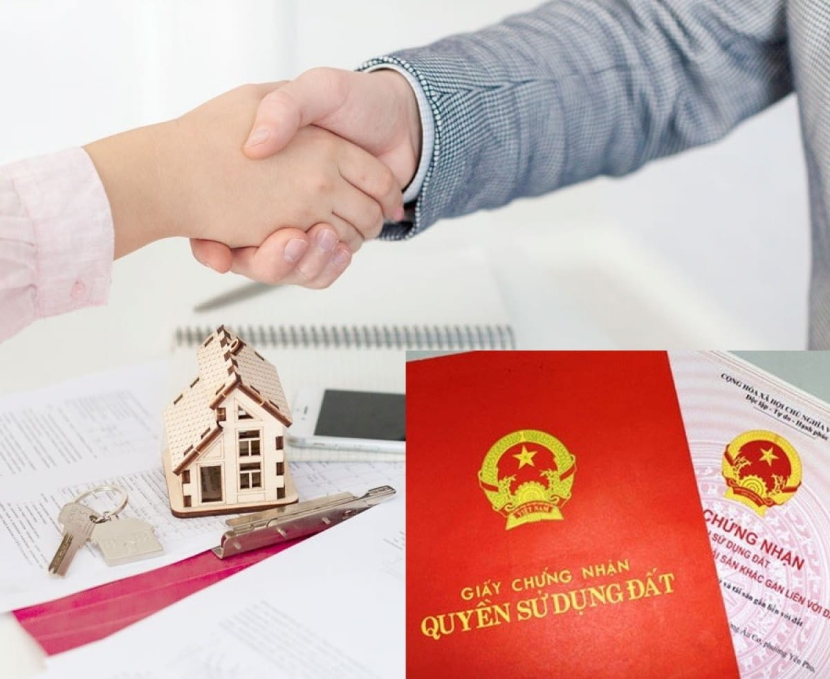 Chung cư Discovery Complex - Quyền lợi của cư dân đang bị xâm phạm? Nhận tư vấn làm sổ hồng giả rẻ trên toàn quốc
